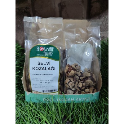 SERVİ KOZALAĞI 60 GR