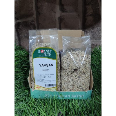 YAVŞAN OTU 40 GR