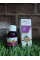 CEVİZ YAĞI 50 ML