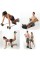 Multiflex Egzersiz Aleti Multiflex Egzersiz Aleti
