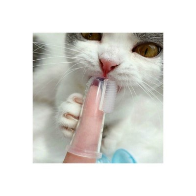 Kedi Köpek Diş Temizleme Fırçası Kedi Köpek Diş Temizleme Fırçası