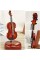 Hareketli Violin Müzik Kutusu Hareketli Violin Müzik Kutusu