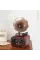 Gramofon Müzik Kutusu Gramofon Müzik Kutusu