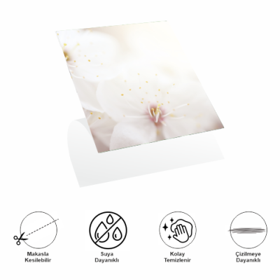 Decohandy 30x30 Cm Pvc Duvar Karosu 4'Lü Paket - Japon Çiçeği Decohandy 30x30 Cm Pvc Duvar Karosu 4'Lü Paket - Japon Çiçeği
