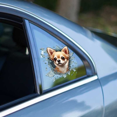 Fulcar Chiuahua Araç Stickerı Fulcar Chiuahua Araç Stickerı