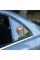 Fulcar Chiuahua Araç Stickerı Fulcar Chiuahua Araç Stickerı