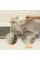 Kedi Köpek Buharlı Pet Tarağı Kedi Köpek Buharlı Pet Tarağı