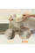 Kedi Köpek Buharlı Pet Tarağı Kedi Köpek Buharlı Pet Tarağı