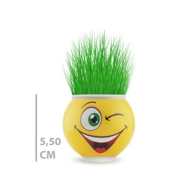 Çim Adam Saksı Emoji Figürlü 1 Adet Çim Adam Saksı Emoji Figürlü 1 Adet