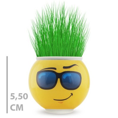 Çim Adam Saksı Emoji Figürlü 1 Adet Çim Adam Saksı Emoji Figürlü 1 Adet