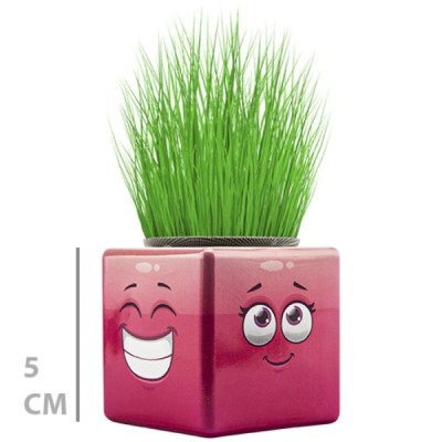 Çim Adam Mini Küp Emoji Figürlü 1 Adet Çim Adam Mini Küp Emoji Figürlü 1 Adet