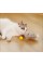 Tüylü Şarjlı Kedi Oyuncağı Tüylü Şarjlı Kedi Oyuncağı