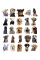 Sevimli Köpek Çıkartmaları Laptop Notebook Tablet Sticker Seti Sevimli Köpek Çıkartmaları Laptop Notebook Tablet Sticker Seti