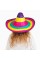 Sombrero Meksika Şapkası Renkli Örme Hasır Çocuk Boy Sombrero Meksika Şapkası Renkli Örme Hasır Çocuk Boy