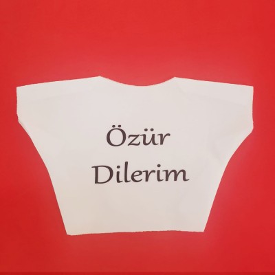 Özür Dilerim Yazılı Peluş Oyuncak Ayı Tişörtü Özür Dilerim Yazılı Peluş Oyuncak Ayı Tişörtü