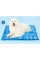 Evcil Hayvan Soğutucu Yatak Mat 81x96 cm Evcil Hayvan Soğutucu Yatak Mat 81x96 cm