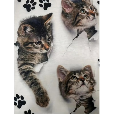Kadın Kısa Kollu Kedi Ve Pati Baskılı Süprem T-shirt Kadın Kısa Kollu Kedi Ve Pati Baskılı Süprem T-shirt