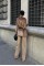 Gaitlin Oversize Kadife Takım 9897 Gaitlin Oversize Kadife Takım 9897